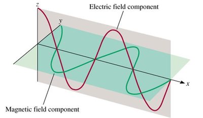 Electromagnetic wave showing electric and magnetic field components