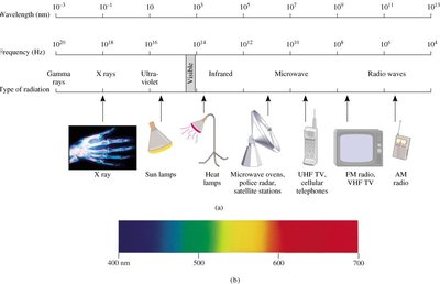 Electromagnetic spectrum showing types of radiation and their wavelengths