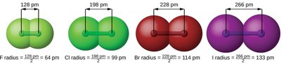 Covalent radii of halogen atoms