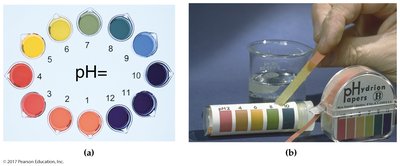 Acid-base indicators and pH measurement