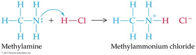 Acid reacting with amine