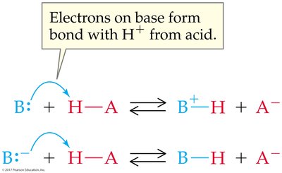 Base accepting a proton from acid