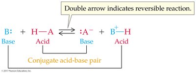Reversible acid-base reaction and conjugate pairs
