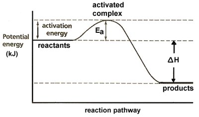Potential energy diagram for an exothermic reaction, showing activation energy and enthalpy change