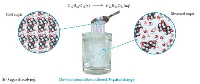 Sugar dissolving: physical change