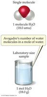 Avogadro's number and the mole concept