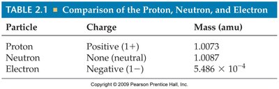 Comparison of the Proton, Neutron, and Electron