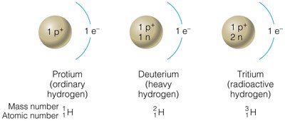 Hydrogen isotopes: protium, deuterium, tritium