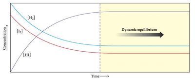 Concentration vs. time graph showing dynamic equilibrium