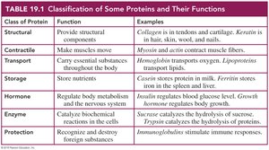 Classification of Some Proteins and Their Functions