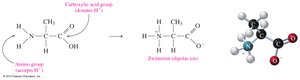 Ionization of Amino Acids and Zwitterion Structure