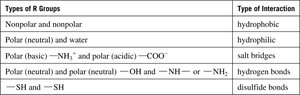 Types of R Group Interactions in Tertiary Structure