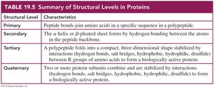 Summary of Structural Levels in Proteins