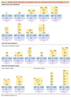 Structures and Properties of 20 Common Amino Acids