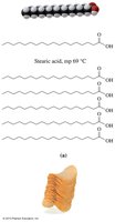 Table of fatty acid melting points and structures