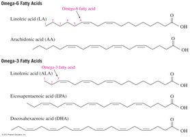 Structures of omega-3 and omega-6 fatty acids