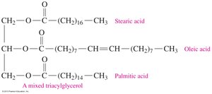 Mixed triacylglycerol structure
