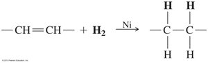 Hydrogenation reaction diagram