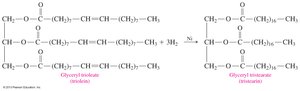 Hydrogenation of glyceryl trioleate
