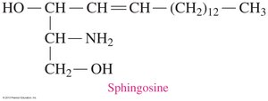 Sphingolipid structure