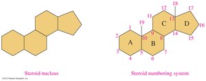 Steroid nucleus structure