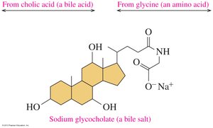 Sodium glycocholate structure