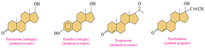 Steroid hormone structures