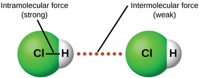 Intramolecular vs. intermolecular forces in HCl