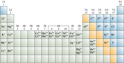 Periodic table showing common monatomic ions