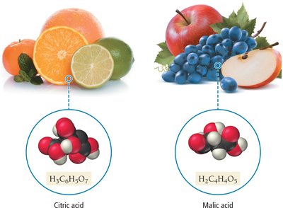 Citric acid and malic acid in fruits