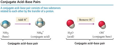 Conjugate acid-base pairs: NH3/NH4+ and H2O/OH-