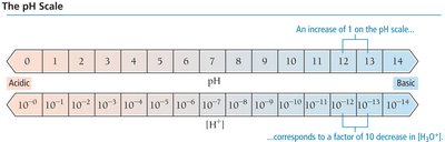 The pH scale diagram