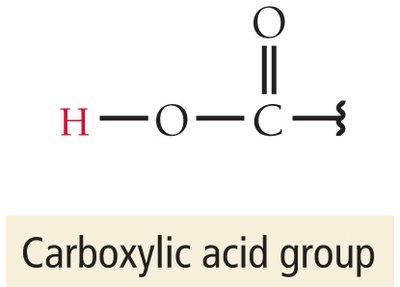Carboxylic acid group structure