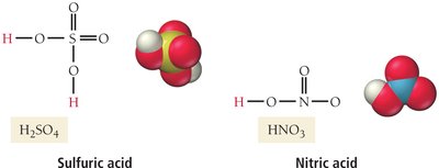 Sulfuric acid and nitric acid structures