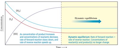 Dynamic equilibrium graph