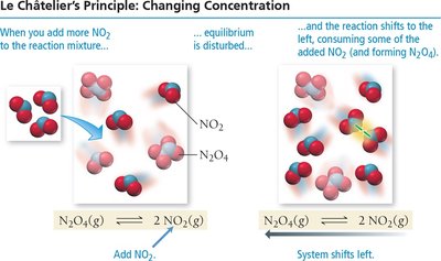 Le Châtelier's principle: adding NO2