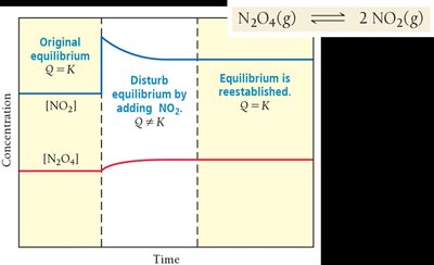 Le Châtelier's principle: adding NO2