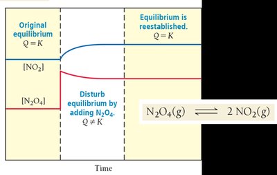 Le Châtelier's principle: adding N2O4