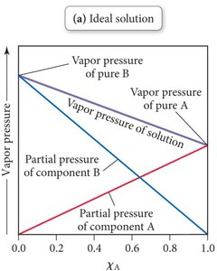 Ideal solution vapor pressure graph