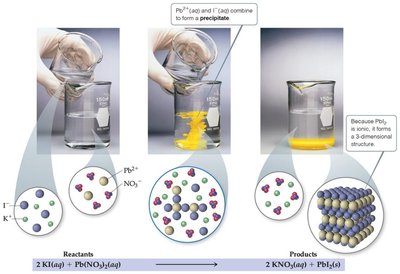 Precipitation reaction demonstration