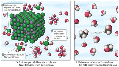 Ionic and molecular dissolution in water