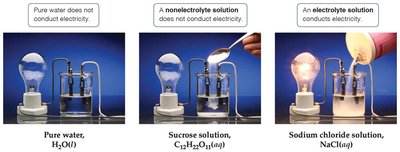 Electrolyte and nonelectrolyte conductivity demonstration