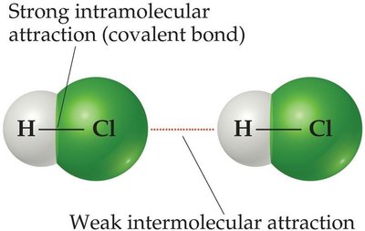 Strong intramolecular vs. weak intermolecular attraction in HCl