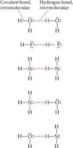 Hydrogen bonds between molecules