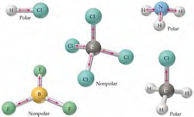 Molecular Polarity Examples