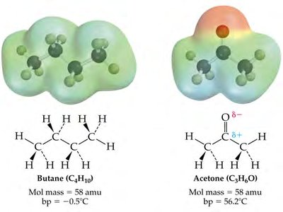Butane vs Acetone Polarity