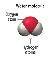 Water molecule structure