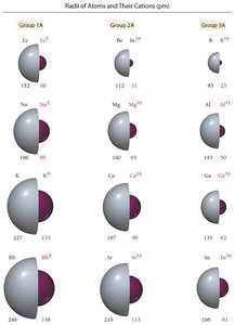 Radii of Atoms and Their Anions