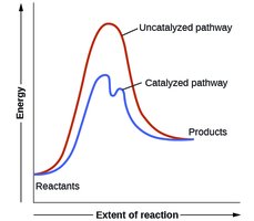 Reaction diagram comparing catalyzed and uncatalyzed pathways