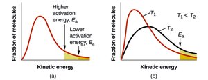Effect of activation energy and temperature on molecular energy distribution